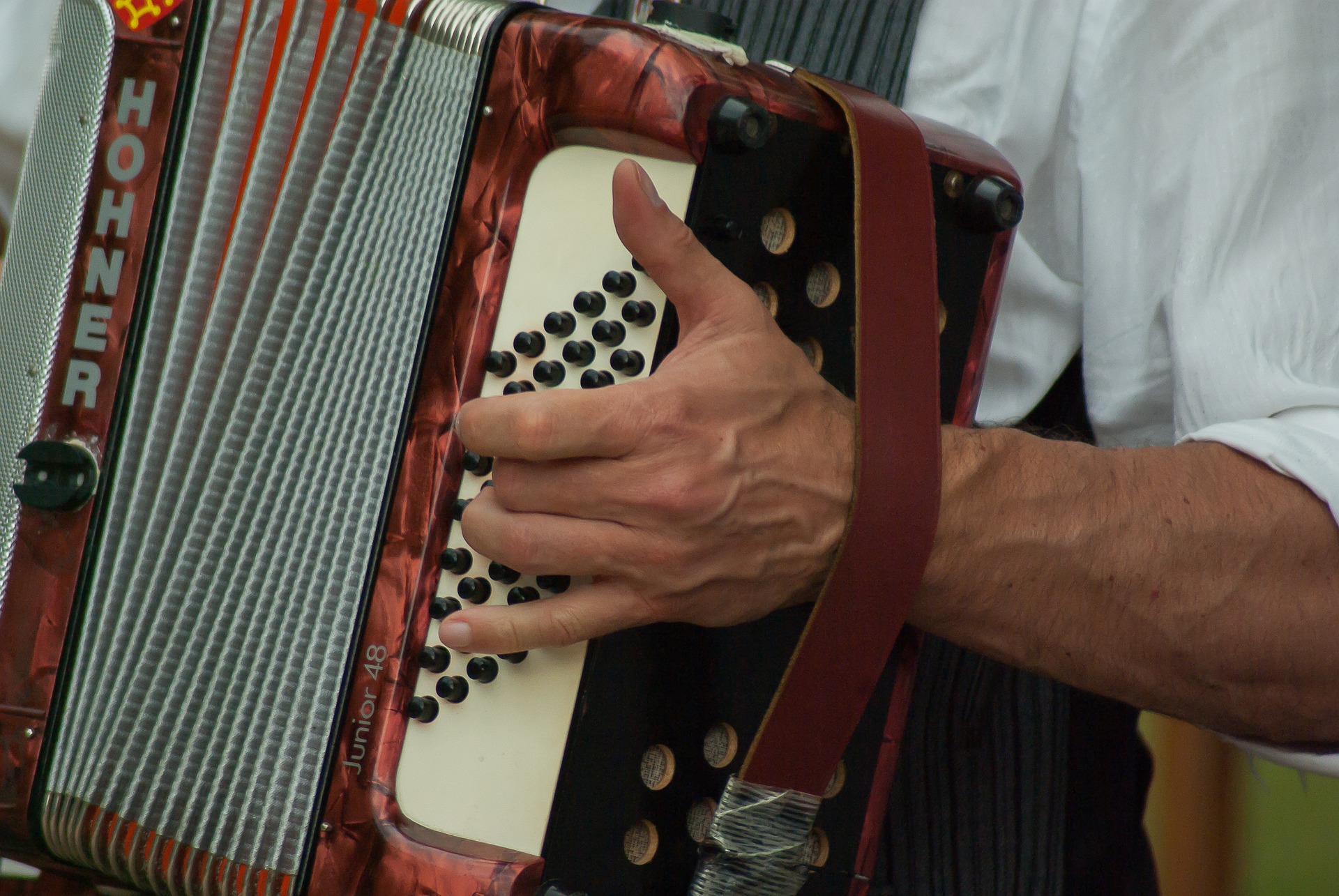 La fisarmonica di Ugo Viola